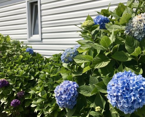 camping Domaine de Laneros camping Domaine de Laneros